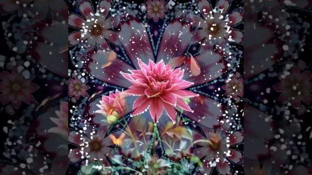 Калейдоскоп релакс видео смотреть онлайн