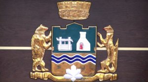 10.02.2026 Заседание Екатеринбургской городской Думы №46 (8 созыв)