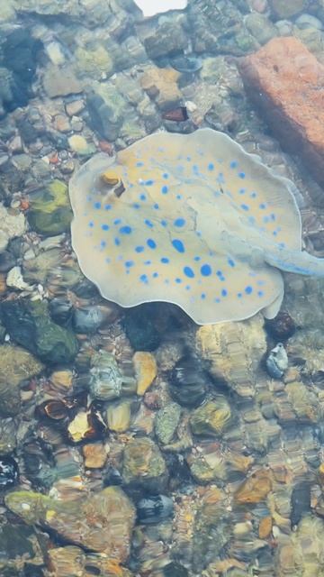 Часть 8. Глоток жизни
Я убегал от одиночества из Москвы.
А оказался в отеле, где кроме меня и персон