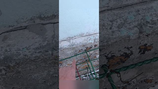 Землетрясение в Краснодарском крае, между Новороссийском и Анапой. 10.02.2026 г. смотреть онлайн