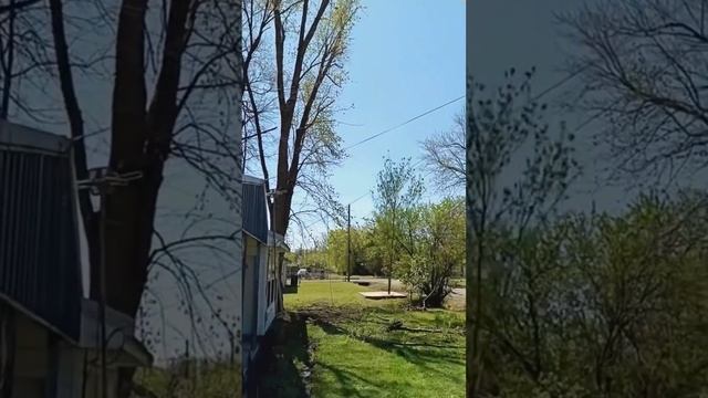 Приколы на грани фола!