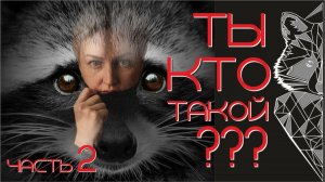 Кто ты такой, енот полоскун? часть 2.