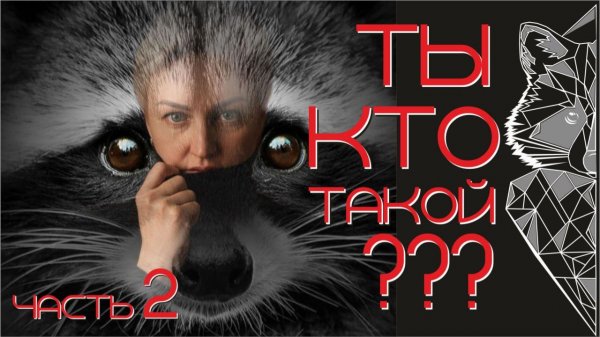 Кто ты такой, енот полоскун? часть 2.