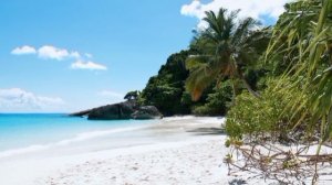 ИННА СУДАКОВА