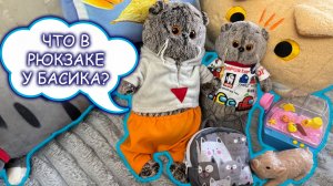 Что котики Басики кладут в рюкзак на прогулку? 😻🎒 Что взять с котом на прогулку?