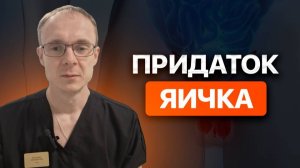 Придаток яичка у мужчин. Врач уролог-андролог. Москва.