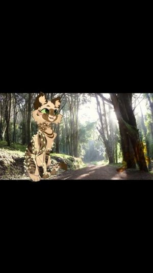 Как бы я кричала если бы увидела этих знаменитостей!// Чит. Опис.// ИДЕЯ НЕ МОЯ!//