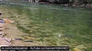 🎣🐟 Навыки рыбалки: ловля большого сома на крючок и радость от продажи рыбы в деревне 🌊📦