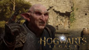 Замок Руквуда / Вселенная Гарри Поттера - Hogwarts Legacy #25