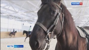 На костромском ипподроме поселился красавец Джигит