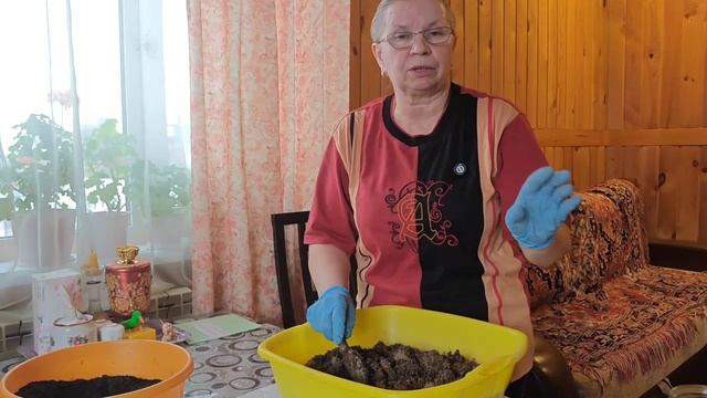 Готовлю грунт. Отвечаю на вопросы(болталка). смотреть онлайн