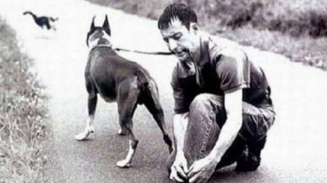 ЖДУТ, КОГДА ШЕФ ПРИСТУПИТ К ОБЕДУ🤣🤣...!😆 смотреть онлайн