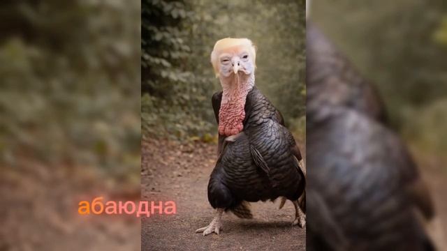 Прикол ии#ии #топ #рейтинг #видео #рутуб #тренд #смех #угар смотреть онлайн