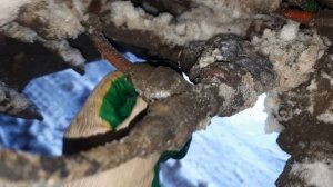 Почему не накачиваются подушки старого прицепа Шмиц