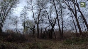 СВО Курская область кадры  БОЙЦОВ РФ