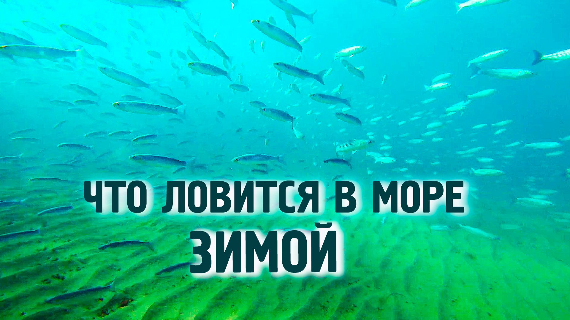 Морская рыбалка. Что ловится в море зимой. Виды рыб. Чёрное море. Геленджик смотреть онлайн