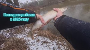 Последняя рыбалка в 2025 году. 2 щуки и 15 окуней!