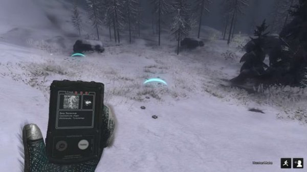 theHunter Classic - 2026-02-10 12-34-44