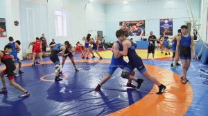 Команда Южного Урала по греко-римской борьбе провела сборы в Златоусте