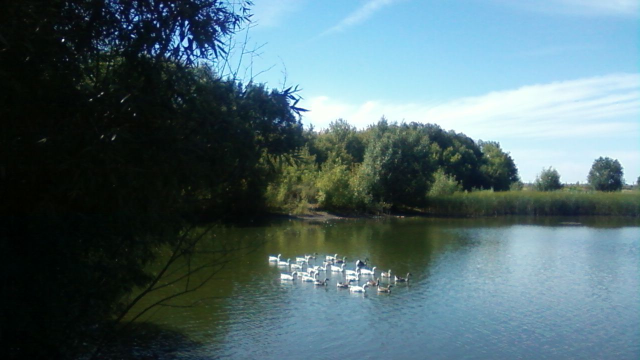 Самогонка - создано на сайте ТвойХит.рф стихи Е. Касаткиной.