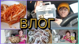 Синабоны.Петуньи.Контейнер с Вайлдберриз