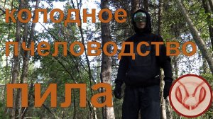 Колодное пчеловодство_Выбор пилы