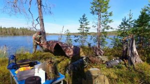 Живу на острове по середине лесного озера. Рыбалка на поплавок. Рыбалка на спиннинг с лодки