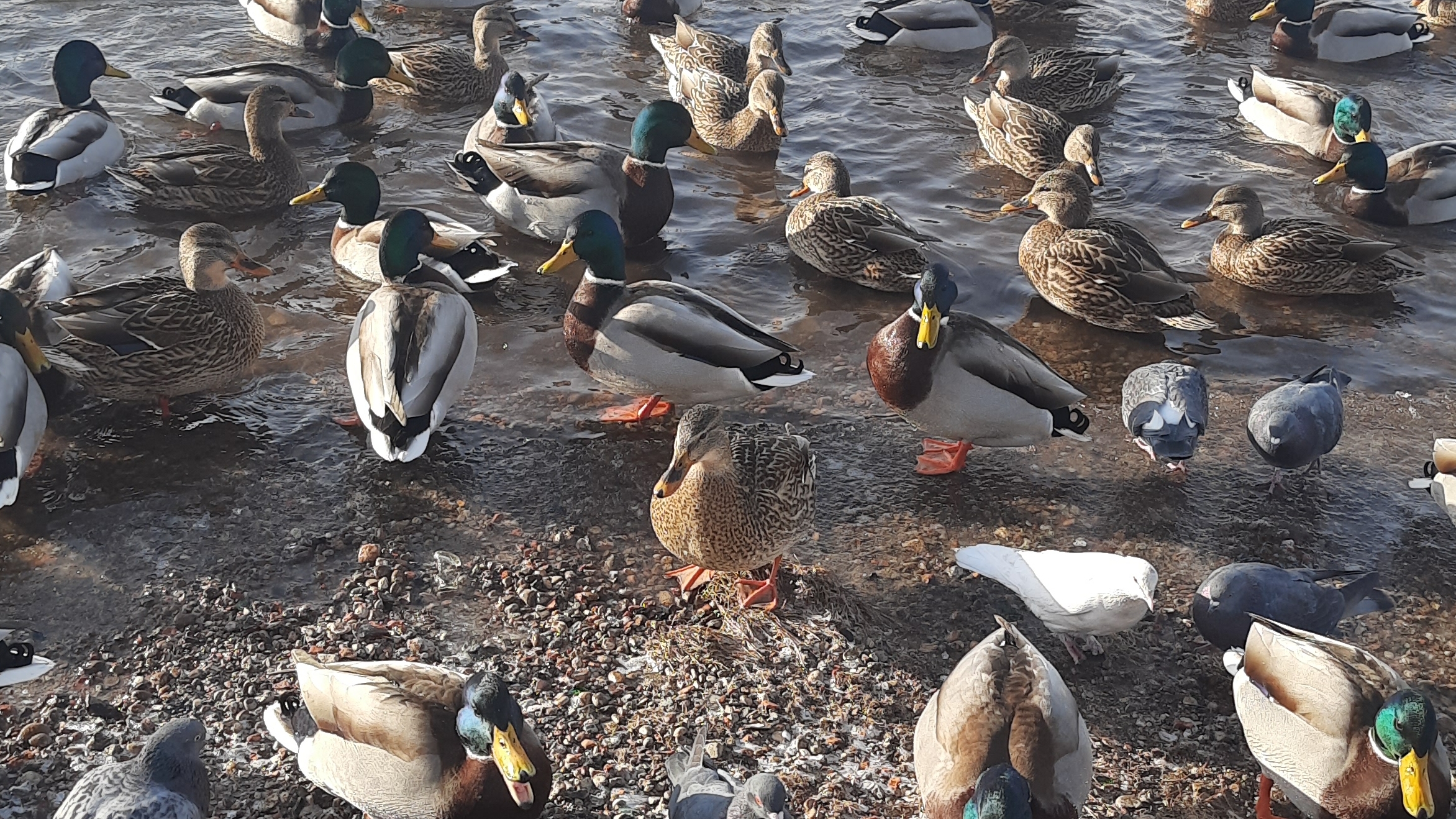 09-02-2026Набережная Иркутск