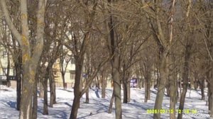 Мариуполь 🏙️ сегодня.Приморский район🏢🏢🏢