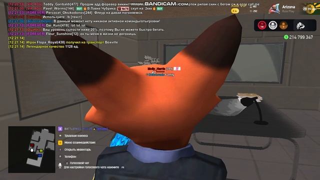 bandicam 2026-02-10 12-21-06-724 смотреть онлайн