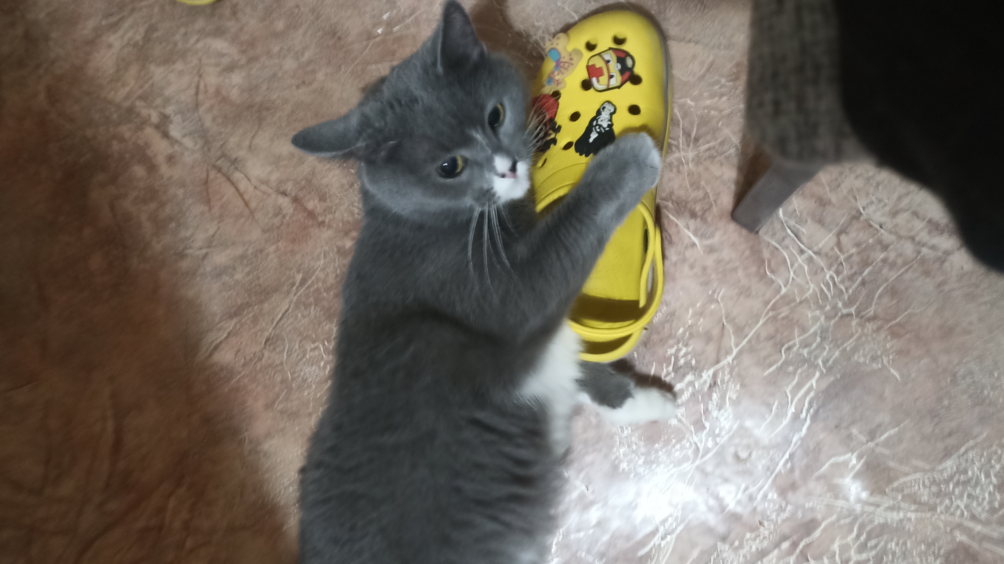 Мы страдаем фигнёй