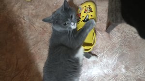 Мы страдаем фигнёй