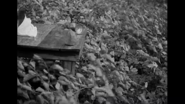 Андрей Тарковский_Николай Солодников_ещенепознер