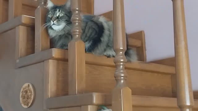 ✅️Люся цветочница// Новая вазочка!🪢