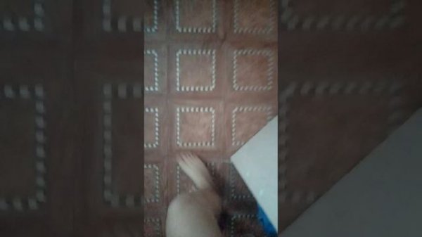 VID_20260210_100851.mp4