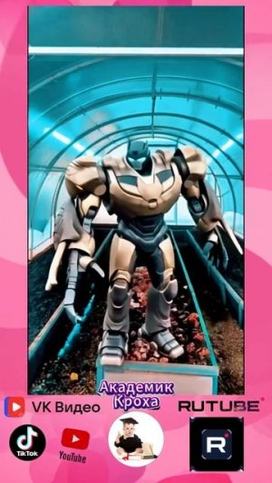 #угадайживотное #животные #звукиживотных #викторина #интересноевидео