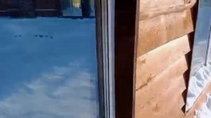 090226г красотка тигрица Симочка подальше держится от львицы