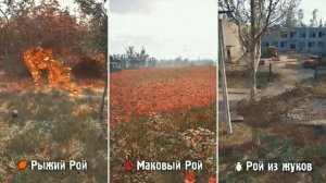 STALKER 2 - 6 Секретных МУТАНТОВ