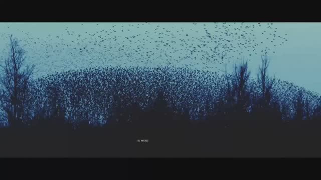 Вирус - В твоих руках Remix смотреть онлайн