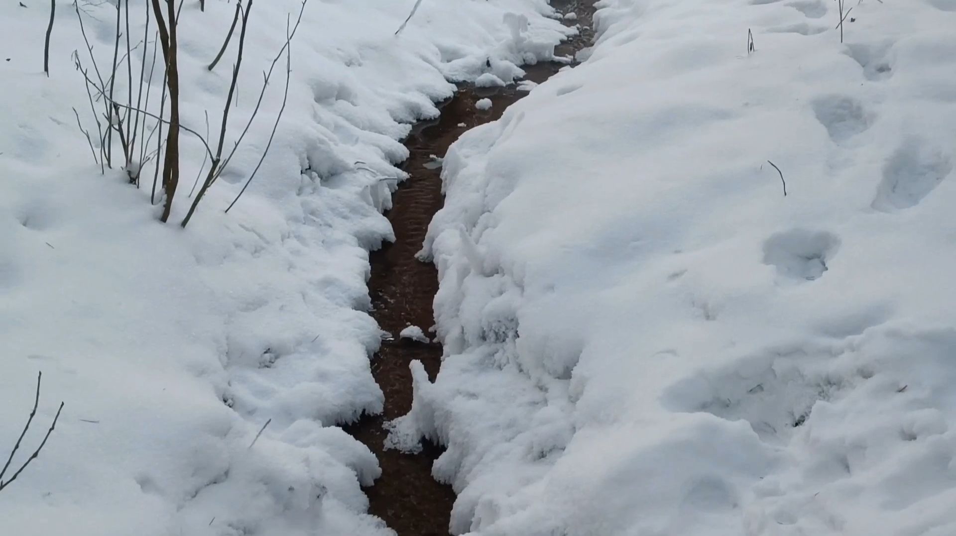 ЗАТЕРЯЛСЯ РУЧЕЙ СРЕДИ СНЕЖНОЙ ЗИМЫ