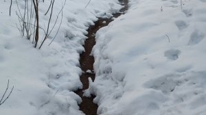 ЗАТЕРЯЛСЯ РУЧЕЙ СРЕДИ СНЕЖНОЙ ЗИМЫ