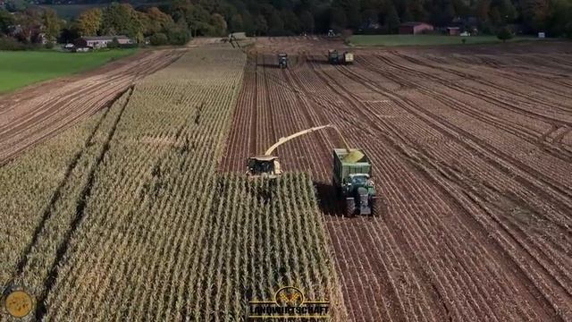 Да, это грязно, но как команда у нас достаточно сил! Сбор урожая кукурузы для кукурузоуборочной маши смотреть онлайн