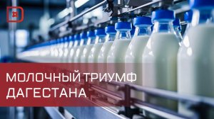 Дагестан лидирует в производстве молока и других сельскохозяйственных продуктов