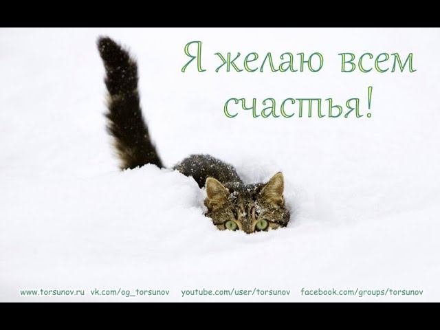 Молитва за мир во всем мире! Live 10.02.2026 смотреть онлайн