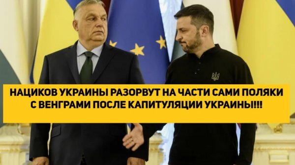 НАЦИКОВ УКРАИНЫ РАЗОРВУТ НА ЧАСТИ САМИ ПОЛЯКИ С ВЕНГРАМИ ПОСЛЕ КАПИТУЛЯЦИИ УКРАИНЫ!!!