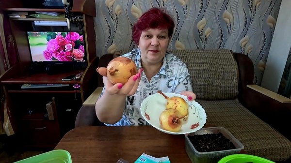 📌 ВНИМАНИЕ!! НЕ ДОПУСКАЙТЕ ЭТИ ОШИБКИ ПРИ ПОСЕВЕ ЛУКА НА РАССАДУ!