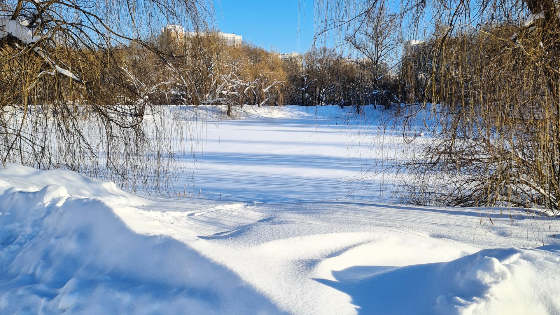 Река Яуза / Лазоревые пруды / зима 2026г