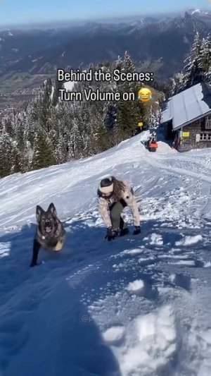 Какие же они забавные🥰))