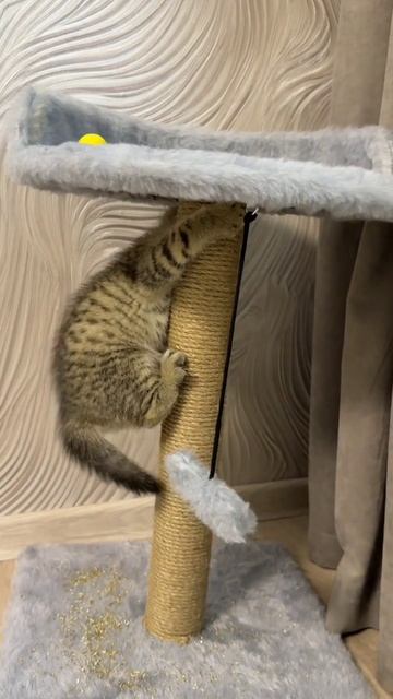 первые дни Таси дома