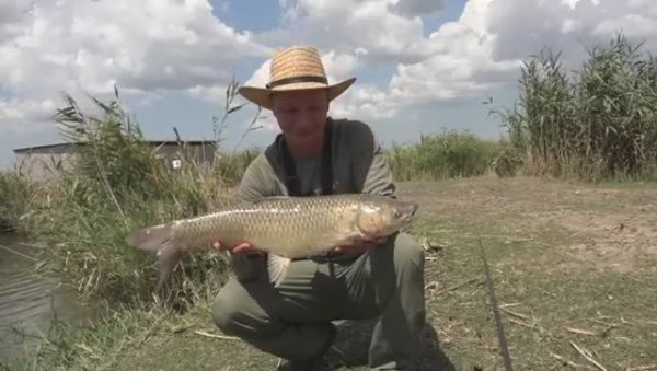 Ловлю амура на поплавочную удочку. Рыбалка 2025